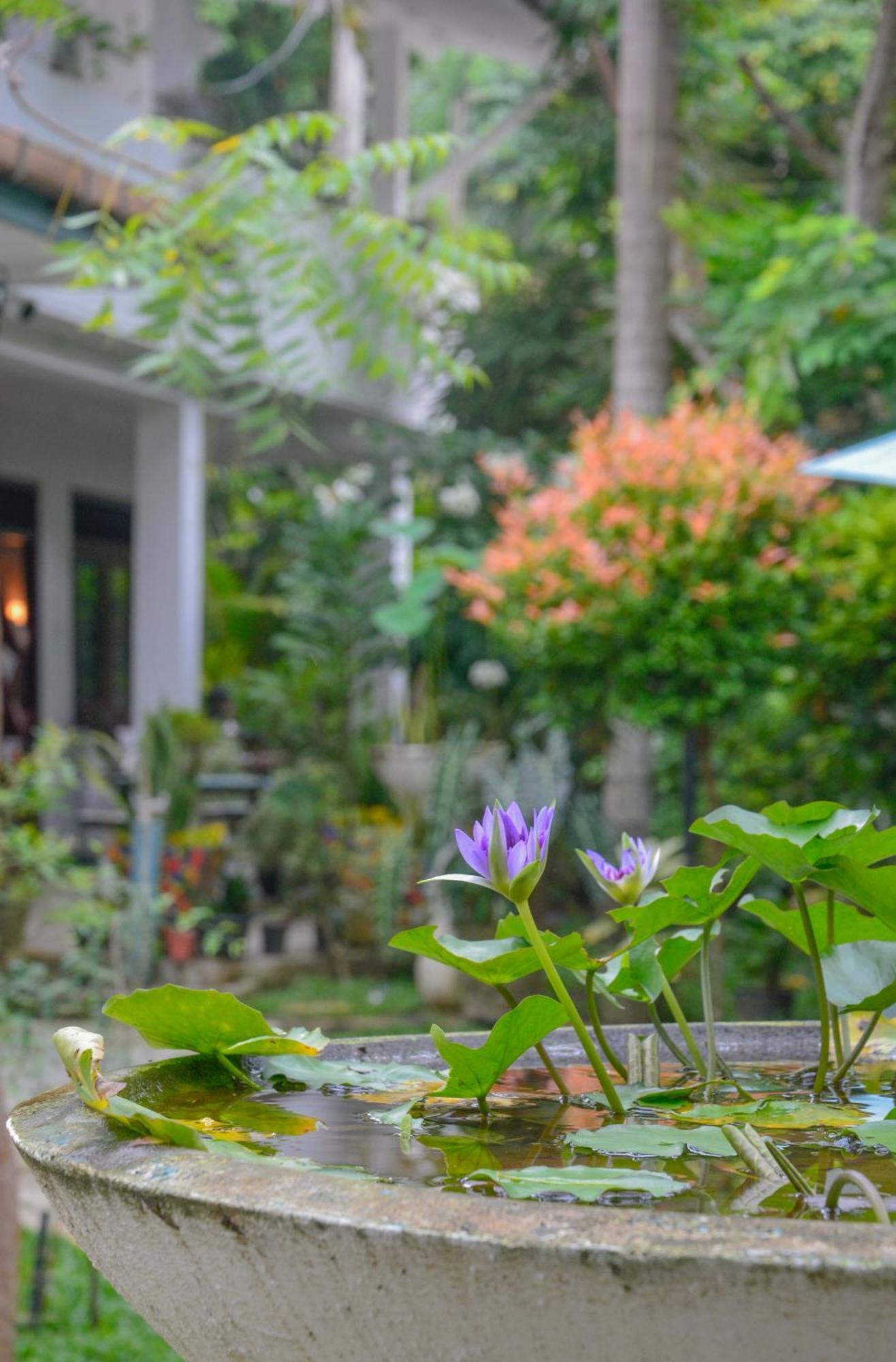Palm Garden Guest House Galle Buitenkant foto