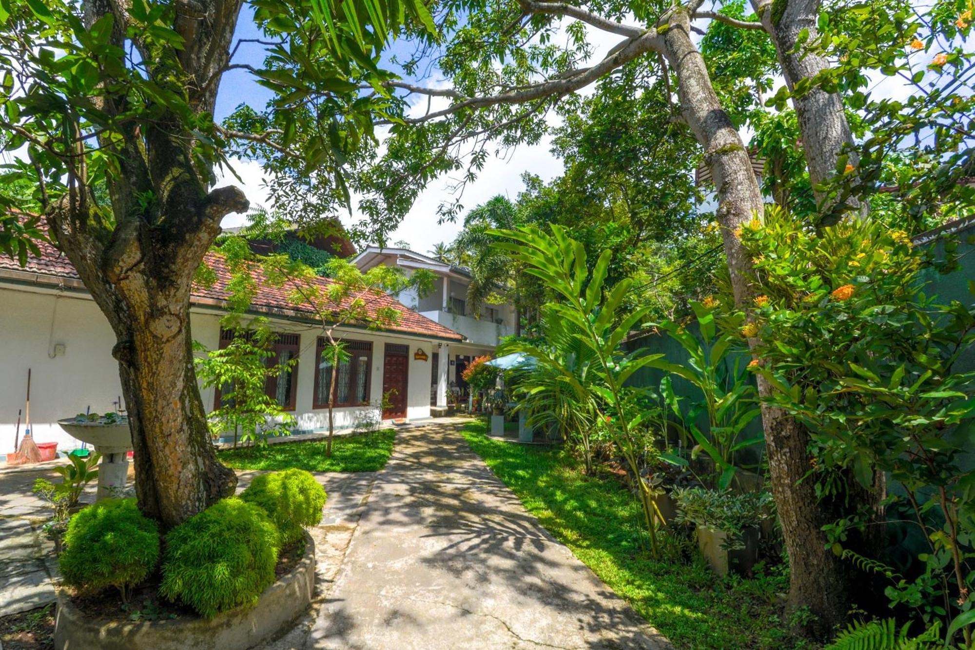 Palm Garden Guest House Galle Buitenkant foto